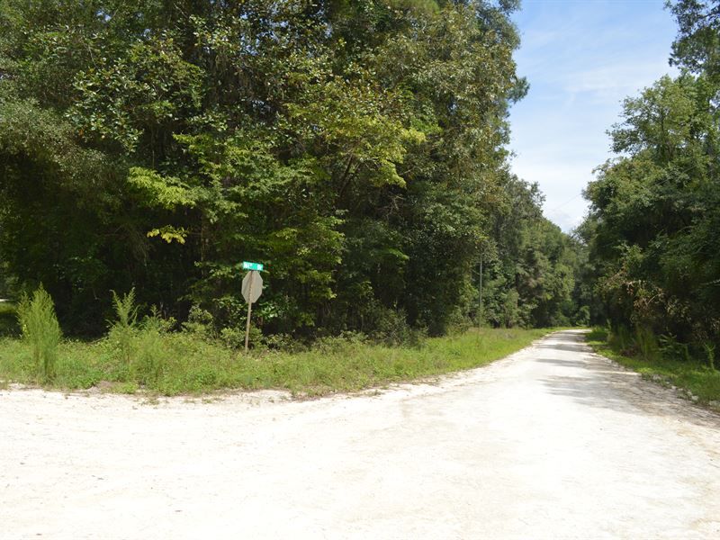 Great River Community : Live Oak : Suwannee County : Florida