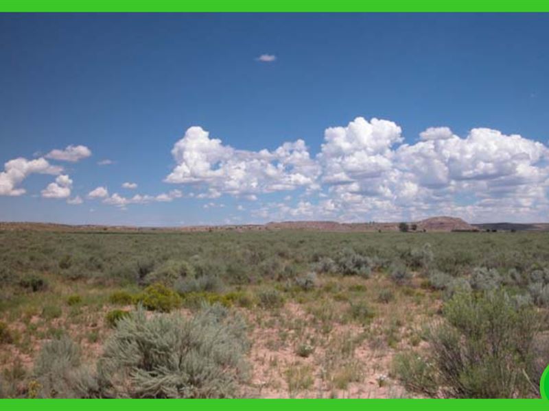 Two Adjacent Lots, Cochise County : Cochise : Cochise County : Arizona