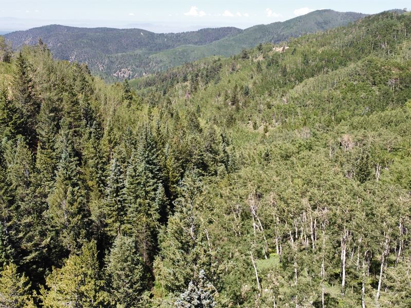 13.89 AC High Mountain Ranch : Fort Garland : Costilla County : Colorado