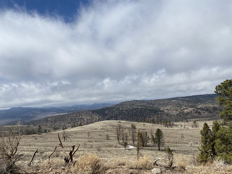 5.02 Acre Ranch in Beautiful CO : Fort Garland : Costilla County : Colorado