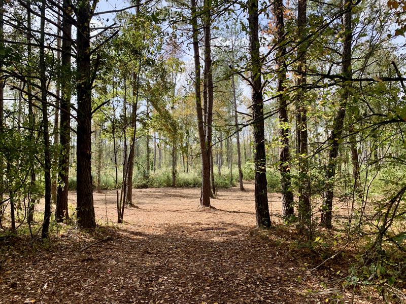 Great Homesite in a Great Area : Danielsville : Madison County : Georgia