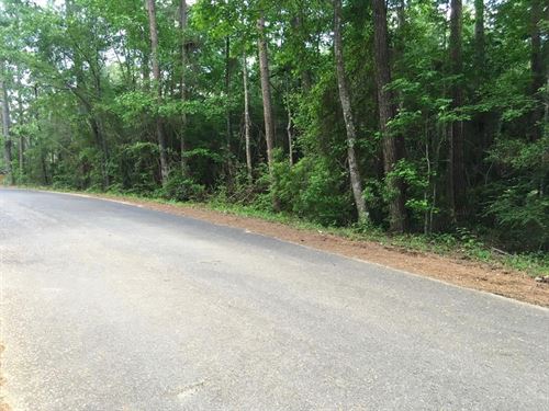 4.56 Acres-Fortenberry Circle, Summ : McComb : Pike County : Mississippi