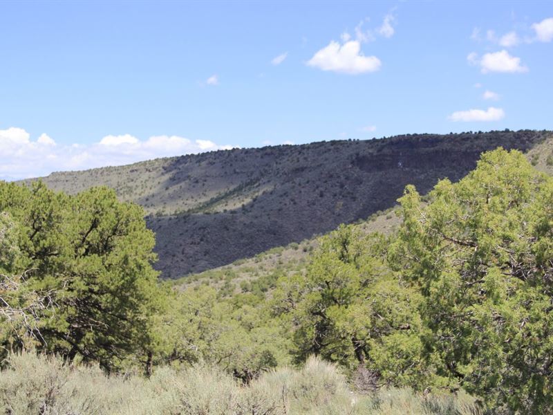 Views for Days in Wild Horse Mesa : Mesita : Costilla County : Colorado