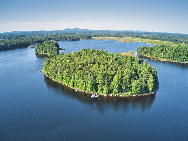 Butterfield Island Nicatous Lake : Burlington : Hancock County : Maine