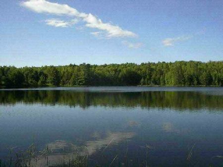 Lot E Estes Lake Rd : Duncan : Houghton County : Michigan