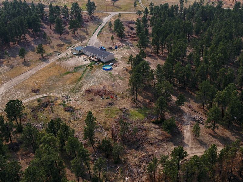 2018 Built Home on 20 Timbered Acre : Roundup : Musselshell County : Montana