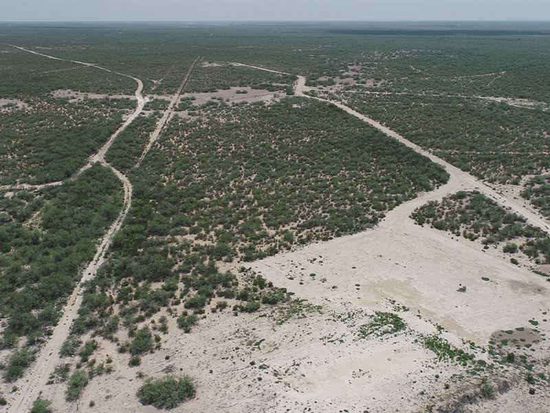 No Restrictions in Ward County : Grandfalls : Ward County : Texas