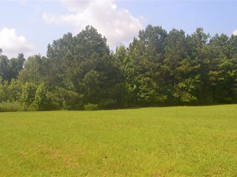 Jordan Road : Byron : Crawford County : Georgia
