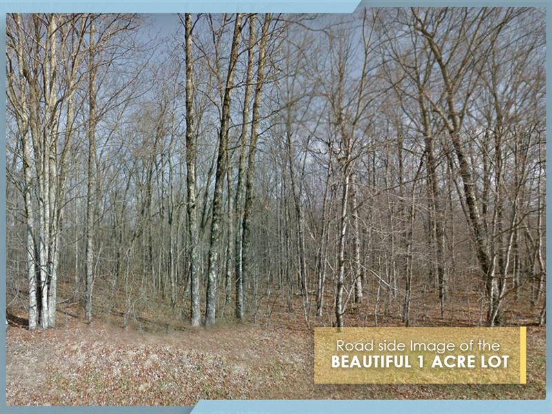 Boat, Fish, Hike, Build : Monterey : Cumberland County : Tennessee