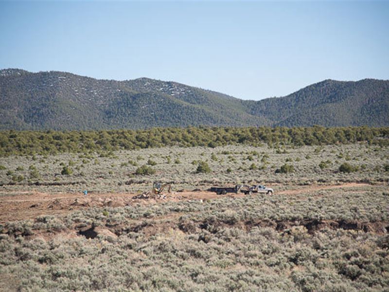Costilla County Freedom : San Luis : Costilla County : Colorado