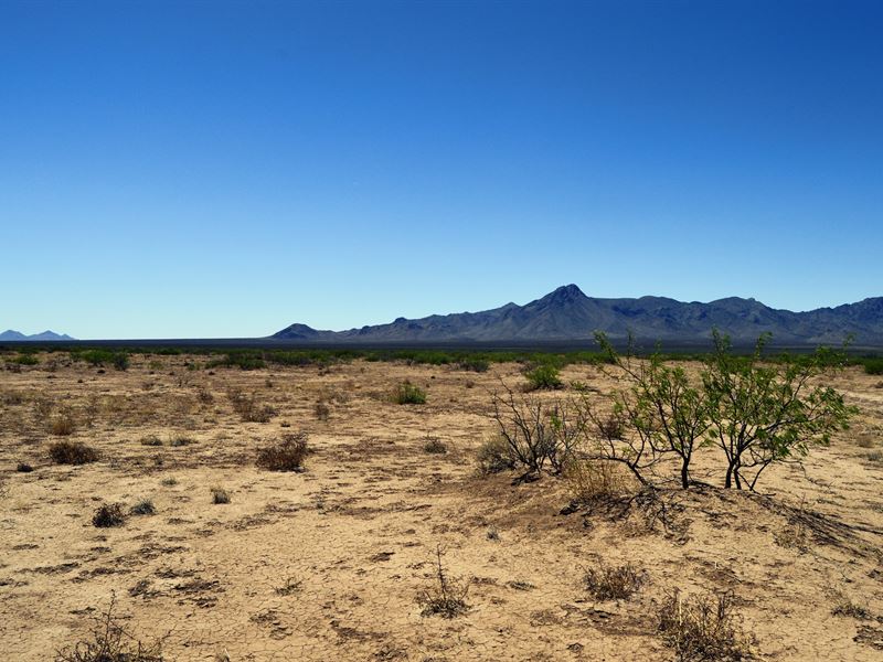 Live Large on 1.5 Acres Only $99/Mo : Deming : Luna County : New Mexico
