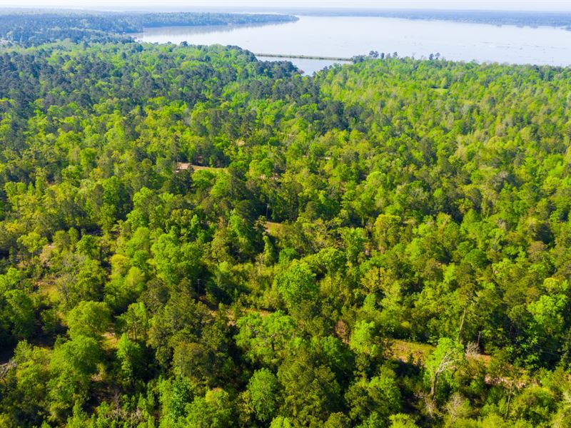 Double Lot, RV & Mobile Lake Living : Trinity : Trinity County : Texas