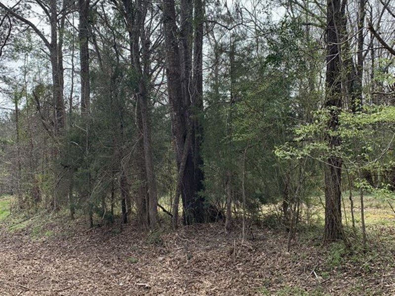 Small 1 Ac Lot Montgomery County : Grady : Montgomery County : Alabama
