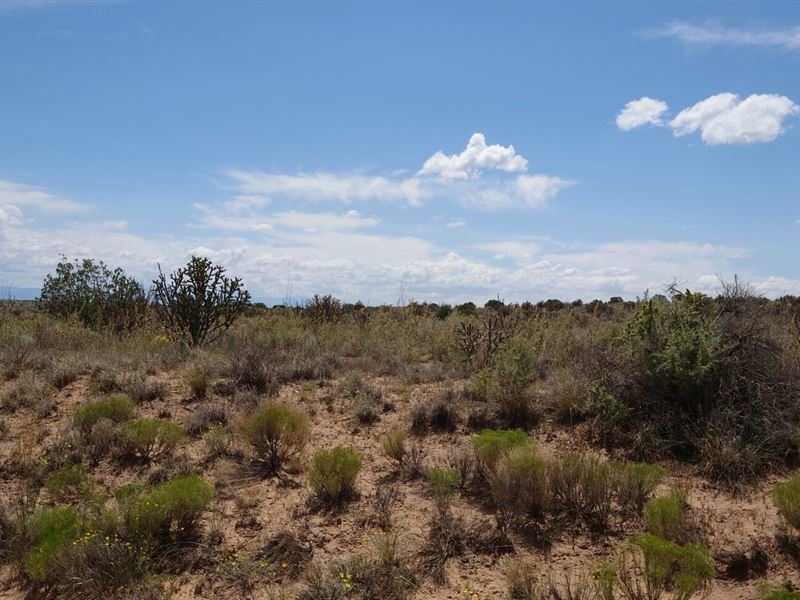 1 Acre Property with Stunning Views : Rio Rancho : Sandoval County : New Mexico