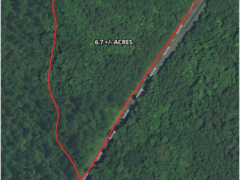 6.7 Acres Files Rd, Caswell County : Blanch : Caswell County : North Carolina