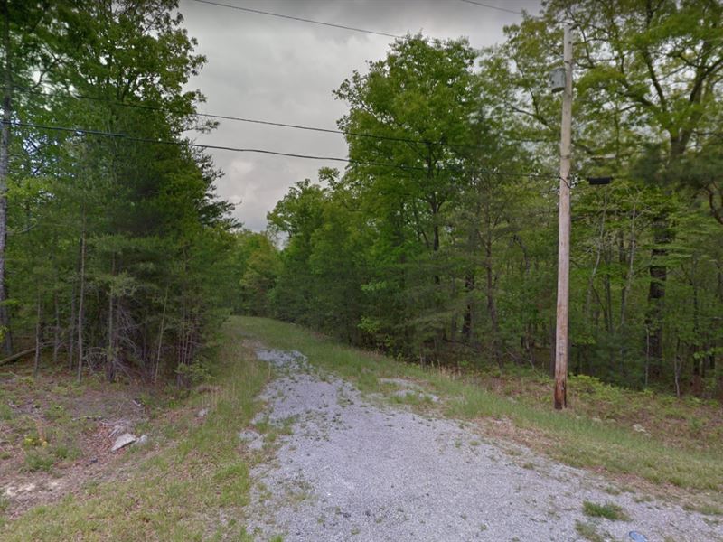 Nice Large Corner Lot in Crossville : Crossville : Cumberland County : Tennessee