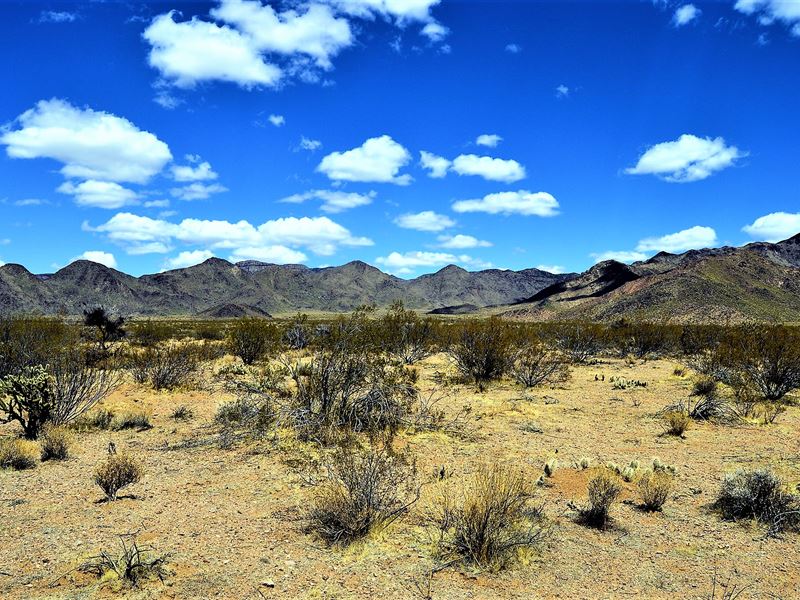 Calling All Atv Enthusiasts : Kingman : Mohave County : Arizona