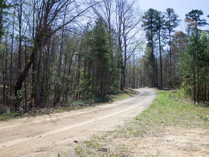 8.56 Acre in Rockcastle County, KY : Mount Vernon : Rockcastle County : Kentucky