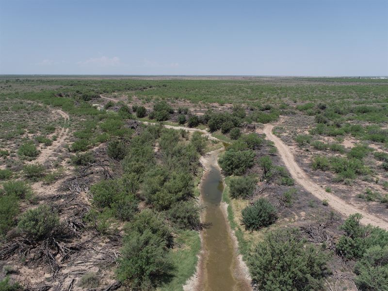 5.1 Remote Acres in West Texas : Pyote : Ward County : Texas