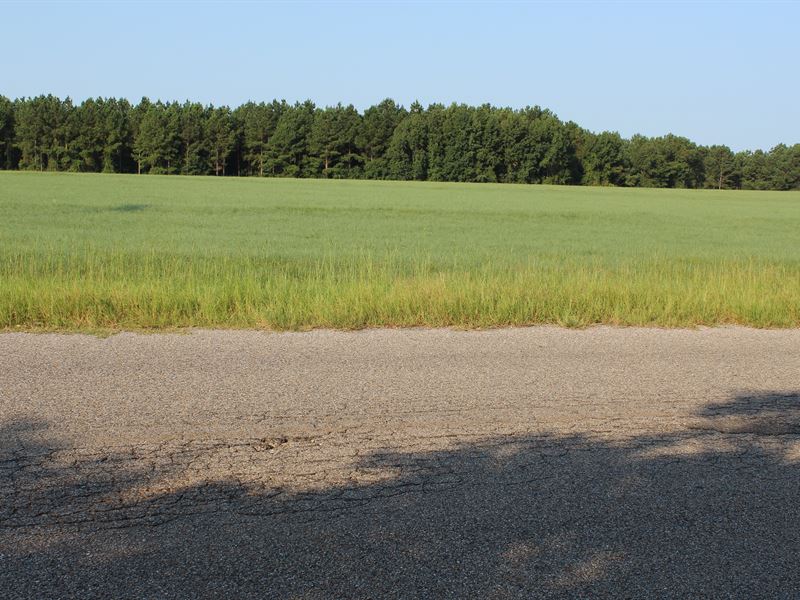 Little Texas 12 : Auburn : Macon County : Alabama