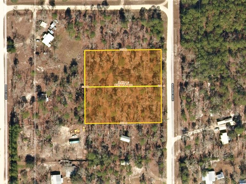 Amazing Piece of Land : Perry : Taylor County : Florida