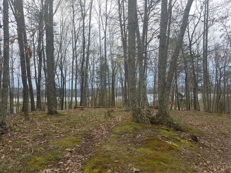1+ Ac Lot with Cherokee Lake View : Mooresburg : Hawkins County : Tennessee