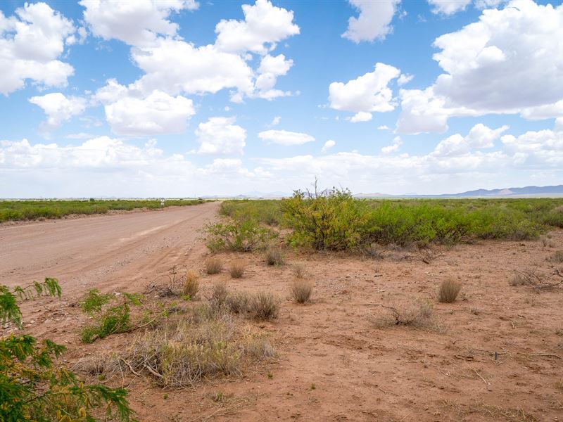 Spacious 20 Ac Parcel in McNeal, AZ : McNeal : Cochise County : Arizona