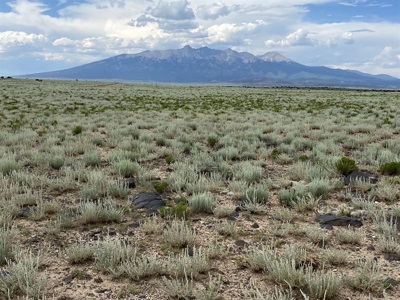 Corner Lot for $399 Down & $119/Mo : Blanca : Costilla County : Colorado