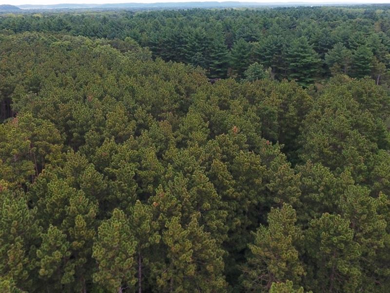 7.7 Ac, 701 N First Street : Avoca : Iowa County : Wisconsin