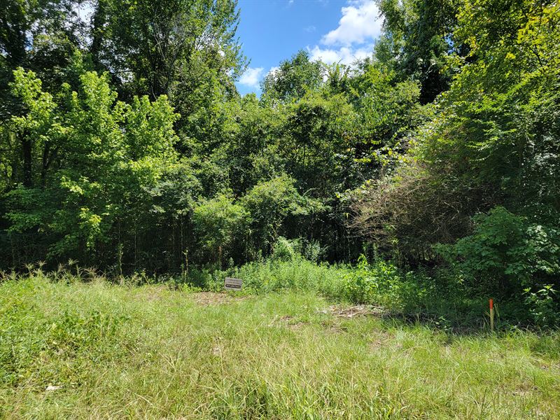 Beautiful 0.44 Acre Wooded Lot : Bullard : Cherokee County : Texas