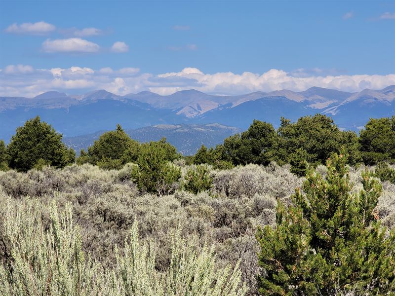 Perfect Spot for Your RV or Camping : San Luis : Costilla County : Colorado
