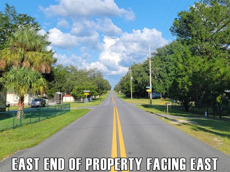 Lowest Price in Area, Owner Finance : Homosassa : Citrus County : Florida