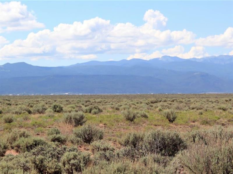 Stunning Mountain Views & Wildlife : Mesita : Costilla County : Colorado