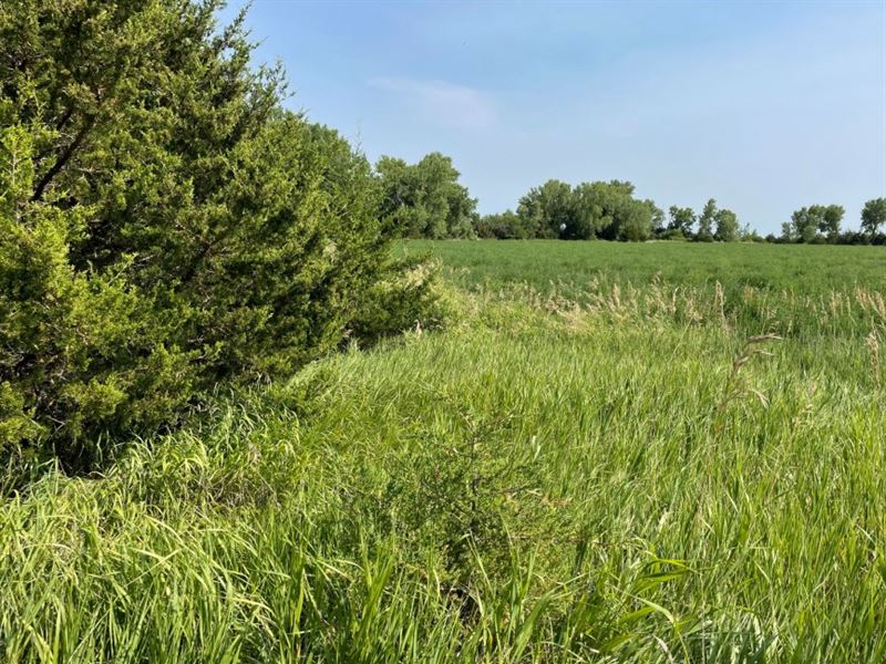 County Line Acreage : Upland : Franklin County : Nebraska