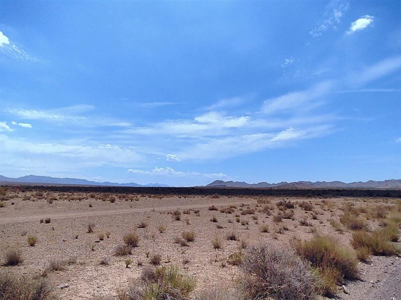 Play Outdoors in The Arizona Desert : Golden Valley : Mohave County : Arizona