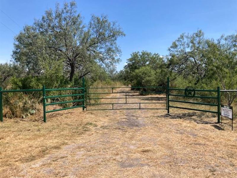 Alvear Ranch : Orange Grove : Jim Wells County : Texas