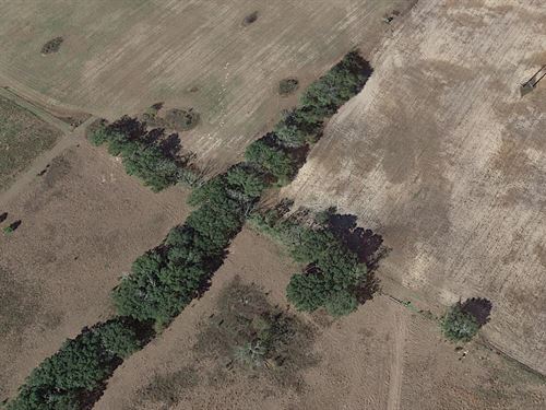 .23 Acres in Suwannee County, FL : Suwannee : Florida