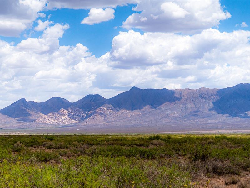 Beautiful 10 Acres in McNeal, AZ : McNeal : Cochise County : Arizona