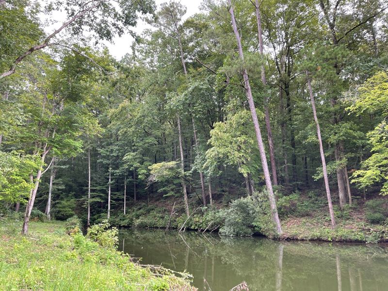 5 Acre Lake Harding Lot : Valley : Lee County : Alabama