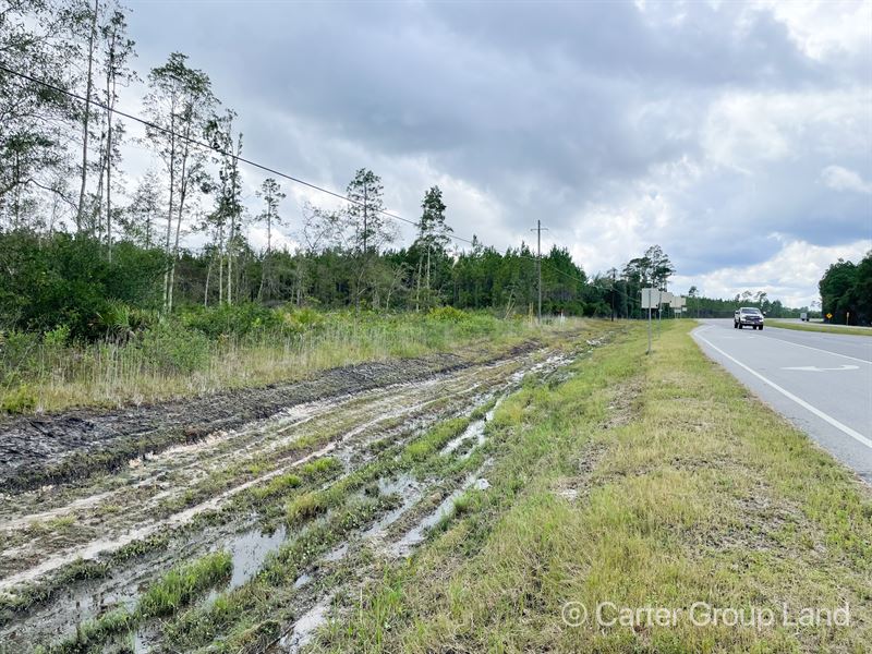 3 Acre Ware County Homesite : Waycross : Ware County : Georgia