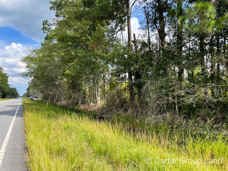 10 Acre Gentleman Farm : Hortense : Brantley County : Georgia