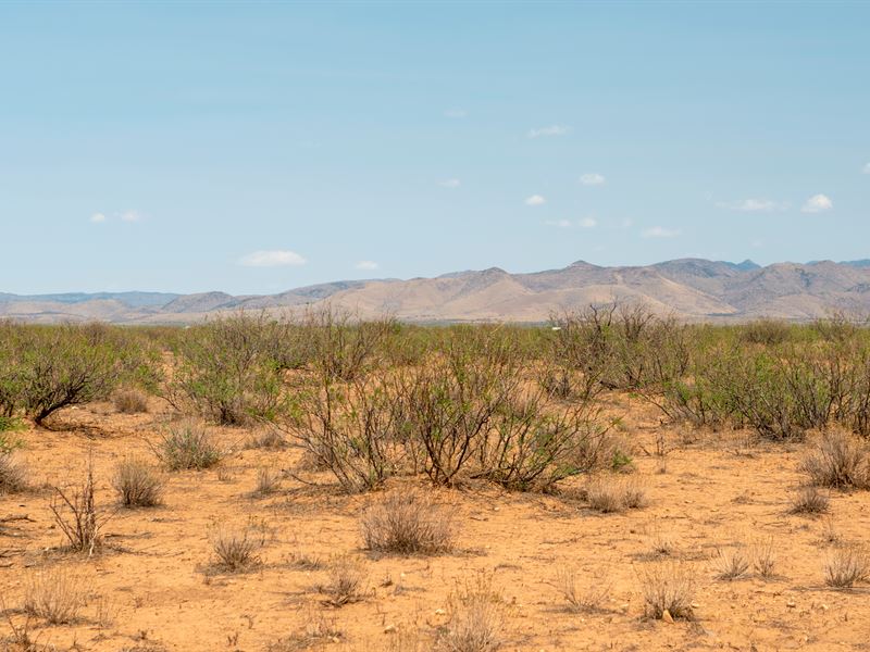 The Eye Can See a Lot of Space : Pearce : Cochise County : Arizona