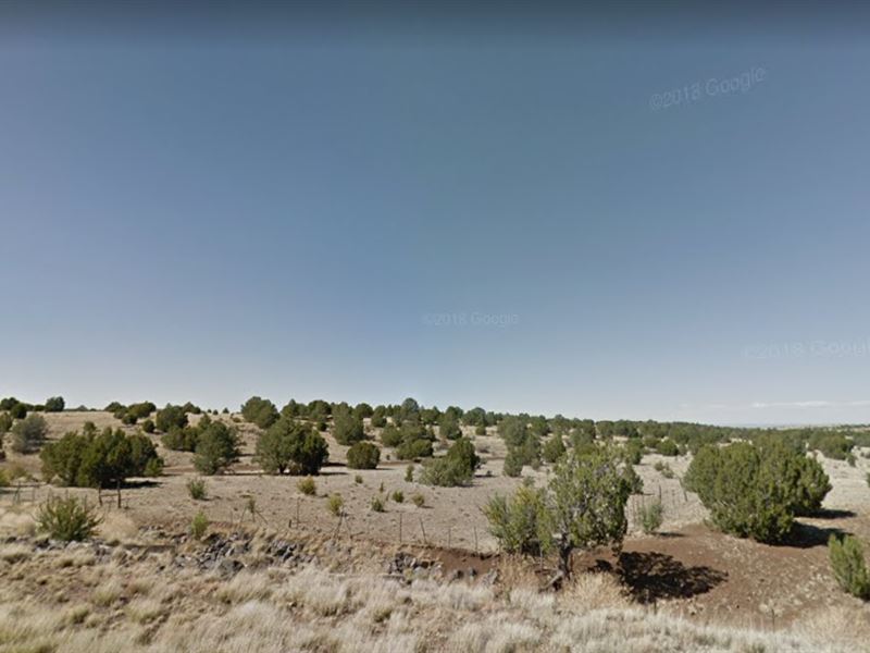 Adventure of a Lifetime by Forests : Concho : Apache County : Arizona