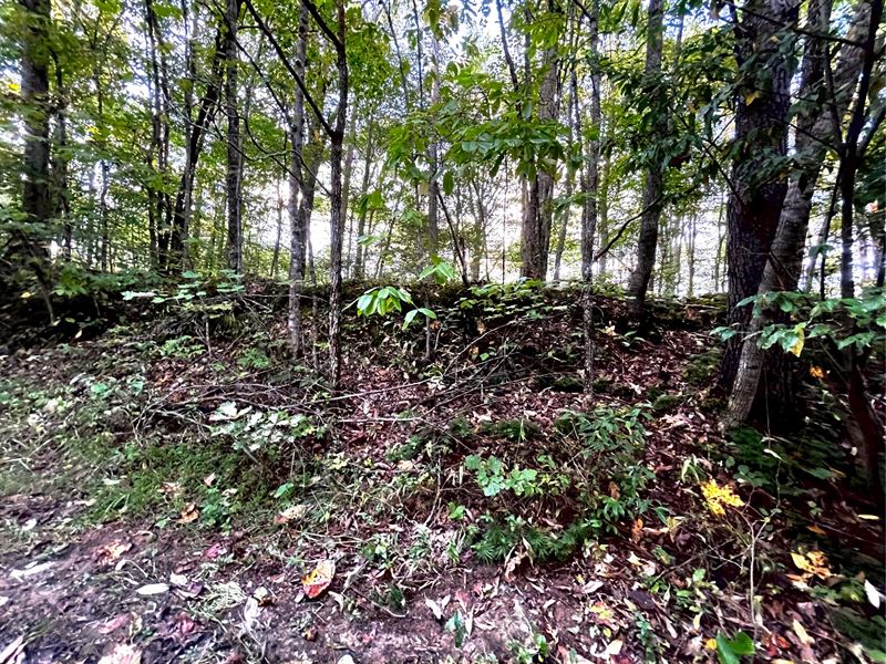 Unrestricted for Camping / Off-Grid : Oneida : Scott County : Tennessee