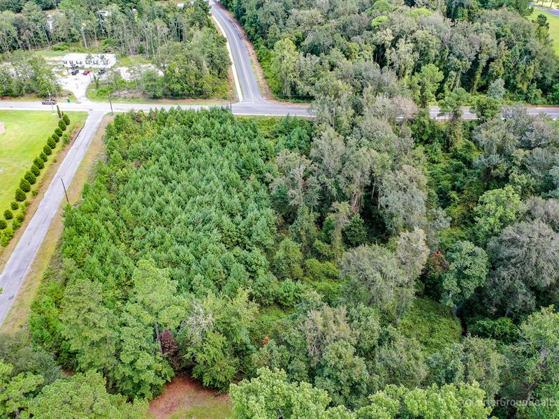 Tract 1 Bay Acres Rd : Jesup : Wayne County : Georgia