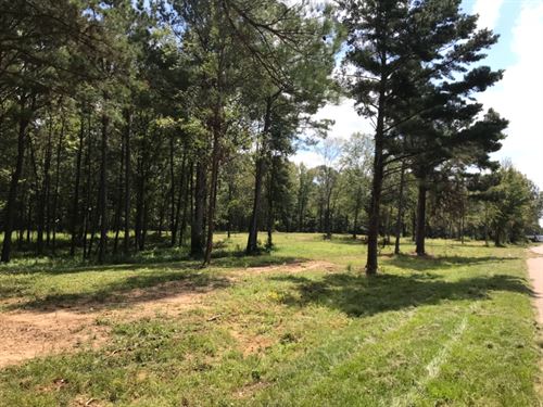Copiah County House Lot, 7.0 Acres : Crystal Springs : Copiah County : Mississippi
