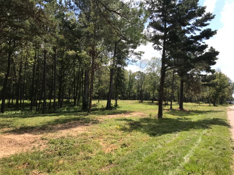 Copiah County House Lot, 4.5 Acres : Crystal Springs : Copiah County : Mississippi