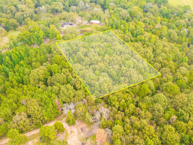 2 Acres of Privacy Near Tyler, TX : Tyler : Smith County : Texas