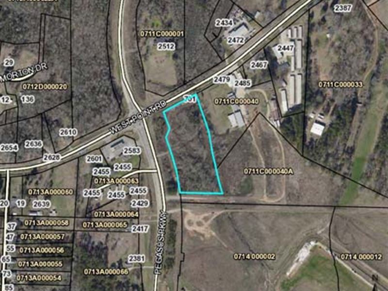 Auction, Residential Land : Lagrange : Troup County : Georgia