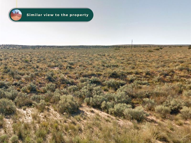 1 Acre to Build & Explore, AZ : Chambers : Apache County : Arizona